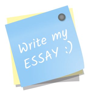 Can you write my essay for me cheap uk